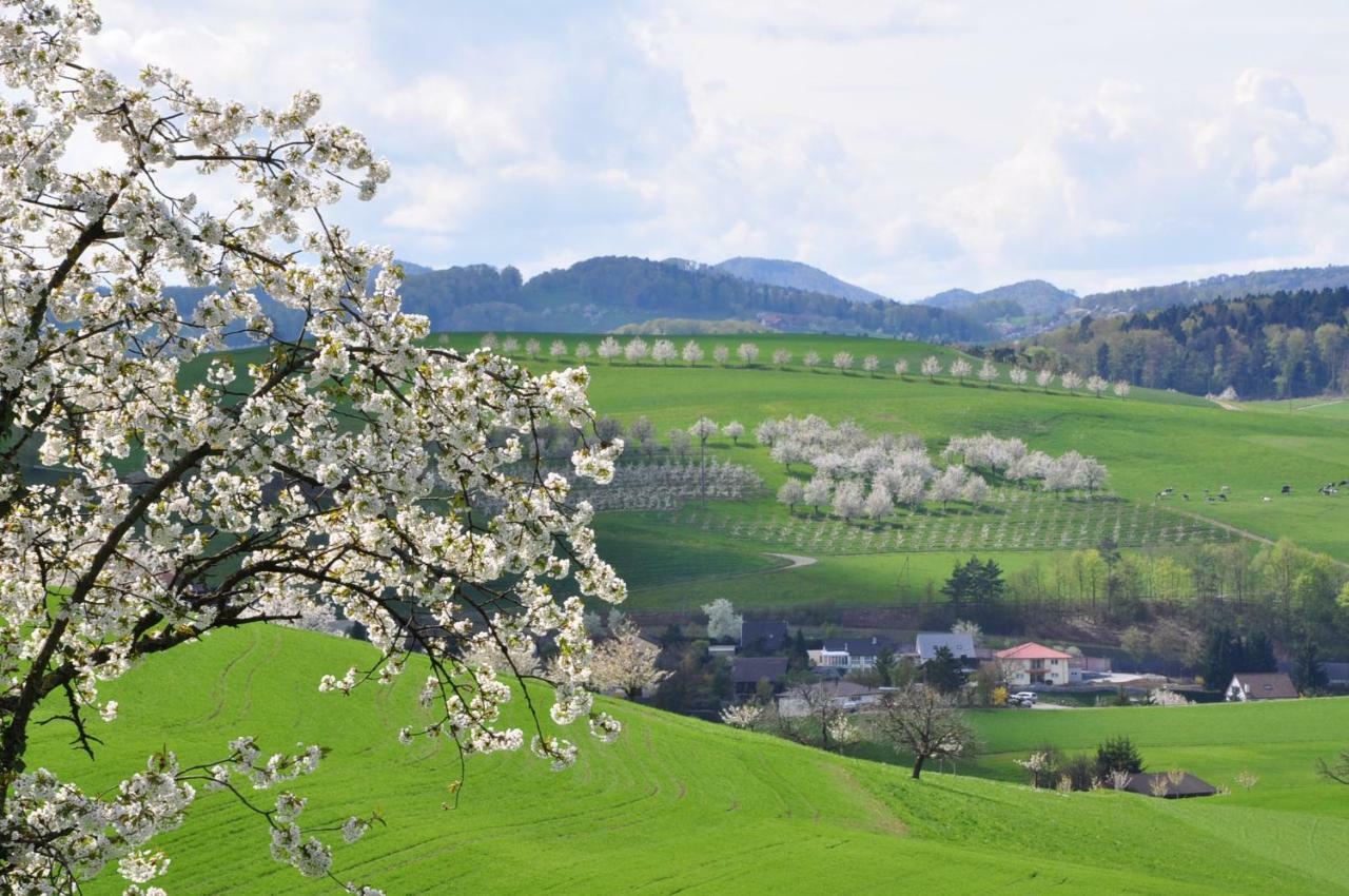 B&B Zum RossliZunzgen エクステリア 写真
